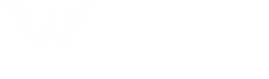Ultra Marine Divers logo – scuba diving from Punta Cana to Bayahibe